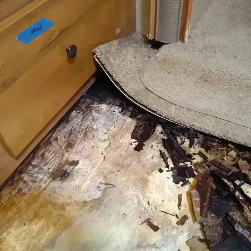 Wood Floor Water Damage in Calipatria, CA